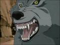  Character Name: Hattori Hanzo Nick name:Ookami pet:Korumaru(Korumaru is a Gray wolf.) Character