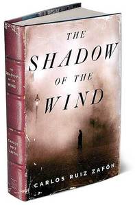  I suggest The Shadow of the Wind door Carlos Ruiz Zafon. It's one of the first boeken I read and loved!