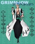 Wow there all so cool!I found this pic of Grimmjow as a Captain.