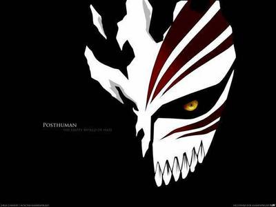 I love this one of Ichigo's mask