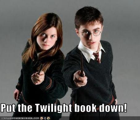 ever some twilight fans like my laptop background