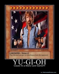 Chuck norris rules
