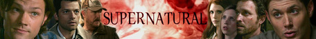 here is my banner :D

http://i978.photobucket.com/albums/ae270/pizzapi/tv/supernatural/supernaturalba