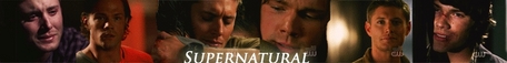 heres the url for the banner: http://www.fanpop.com/spots/supernatural/images/9746483/title/dean-sam
