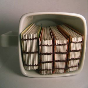  Handmade Recycled starbucks Card Books:http://www.etsy.com/shop.php?user_id=6369799&section_id=635952