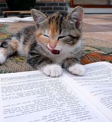  [b]Welcome to the CAT Library![/b] It has come to my attention that most, if not all, mga kuting are