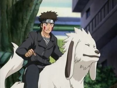  Heya everybody! I just wanted to ask everybody what colour they think Kiba's chaqueta and pants are an