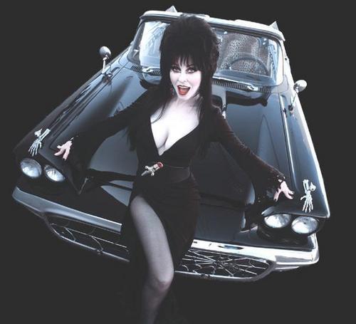  Elvira Image