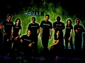 house-md - House md wallpaper wallpaper