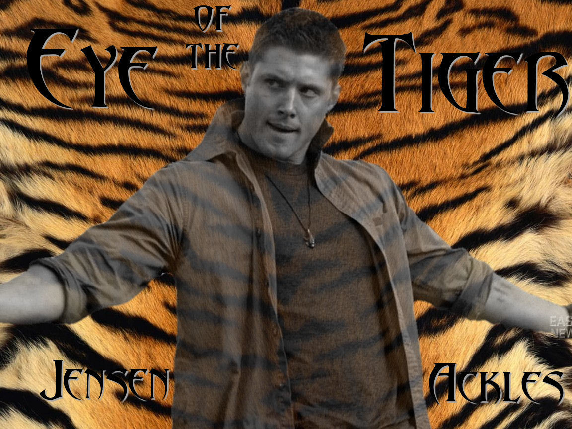 Jensen Ackles Wallpaper Eye of the Tiger