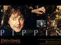 lord-of-the-rings - pippin wallpaper