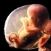 Pro Life - abortion - debate icon