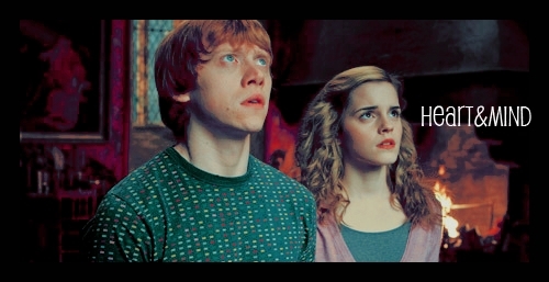  Ron & Hermione Banner