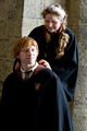 Ron and Lavender - harry-potter photo
