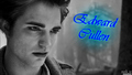 Twilight banner - twilight-series fan art
