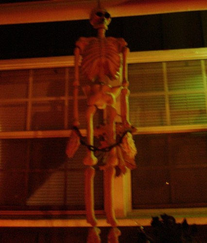  skeleton
