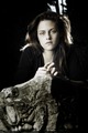 'Twilight' Cast Portraits II HQ - twilight-series photo