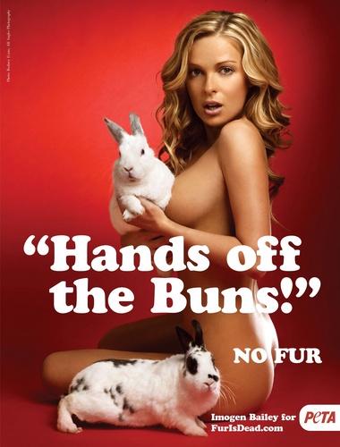 Anti Fur Poster