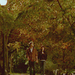 Brucas Forever and Ever <3 - brucas icon