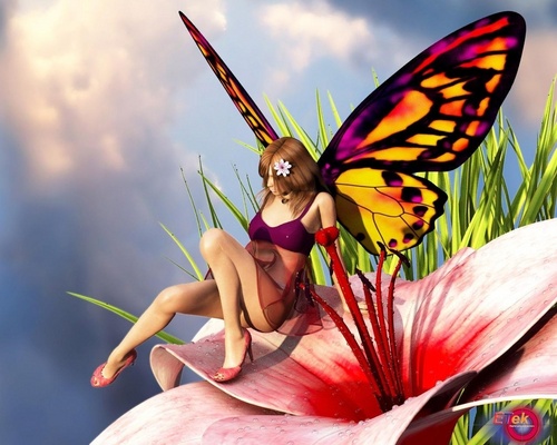  con bướm, bướm Girl