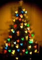 Christmas Tree  - christmas photo