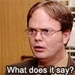 Dwight in 'Customer Survey' - the-office icon