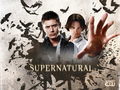 Sam and Dean - supernatural wallpaper