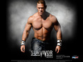 professional-wrestling - Survivor Series 2008 wallpaper
