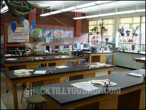  The biology room