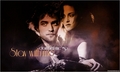 Twilight banners - twilight-series fan art