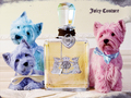 juicy-couture - juicy couture wallpaper