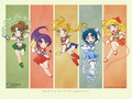 sailor-moon - sailormoon team 3 wallpaper