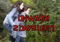 2 days till TWILIGHT premieres - twilight-series fan art