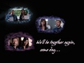 Angie and Hodgins together - bones wallpaper