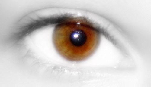  Eye