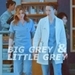 Grey's Anatomy - 5x08 - greys-anatomy icon