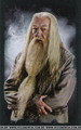 HBP Dumbledore - harry-potter photo