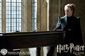Half-Blood Prince - Professor McGonagall - harry-potter photo