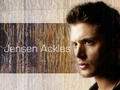 Jensen Ackles WP - jensen-ackles wallpaper