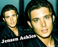 Jensen Ackles WP - jensen-ackles wallpaper