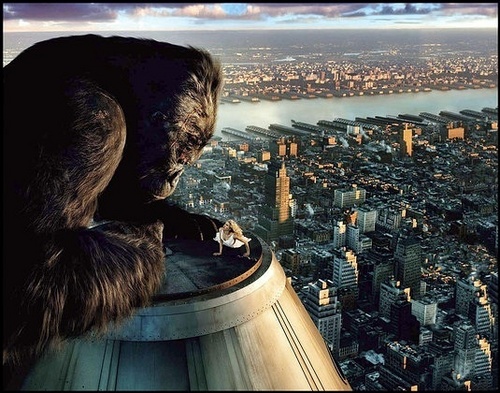  King Kong 2005