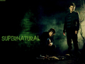 supernatural - SPN WP wallpaper