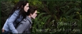 Twilight Banner - twilight-series fan art