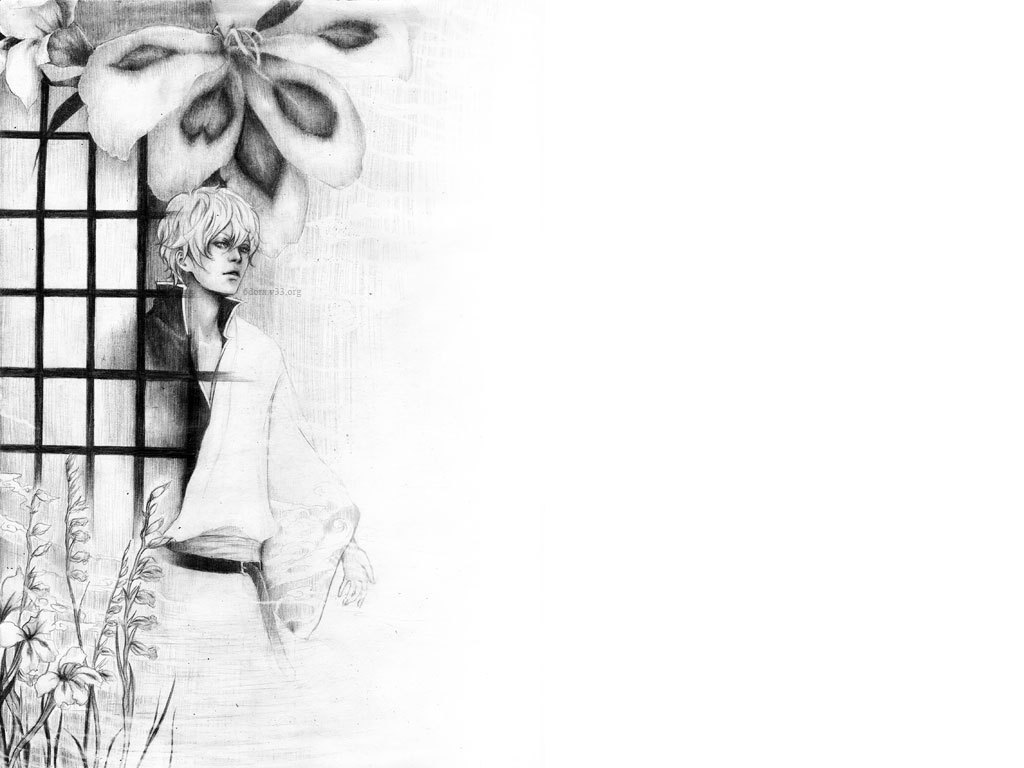 Gintama Gintoki Wallpaper HD