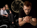 house-md - house md wallpaper