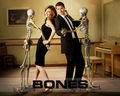 Bones - bones wallpaper