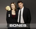 Bones - bones wallpaper