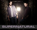 supernatural - Dean & Sam wallpaper