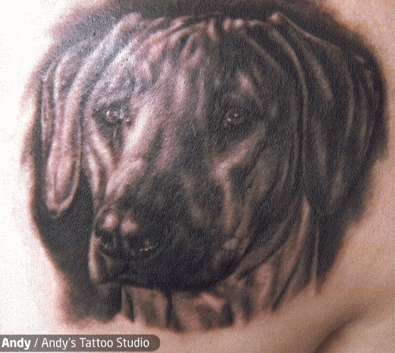 Dog - Tattoos 556x496