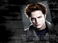 edward-cullen - Edward Cullen <3 wallpaper